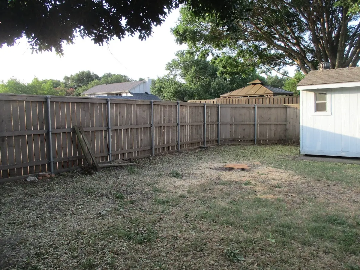 Cleared yard after professional tree removal in San Diego